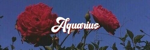 Leaked hotinlejunglefree header onlyfans leaked