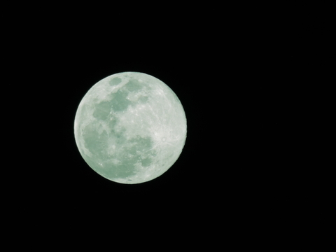 Leaked hottwolf87 header onlyfans leaked