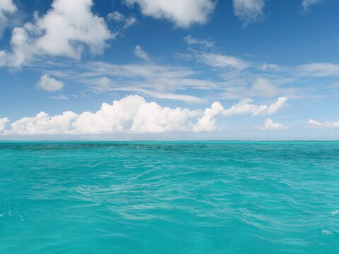 Leaked howipaymyrent header onlyfans leaked