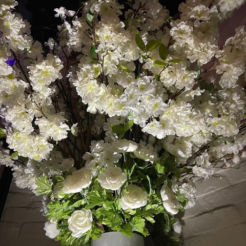 Leaked iamcelys header onlyfans leaked