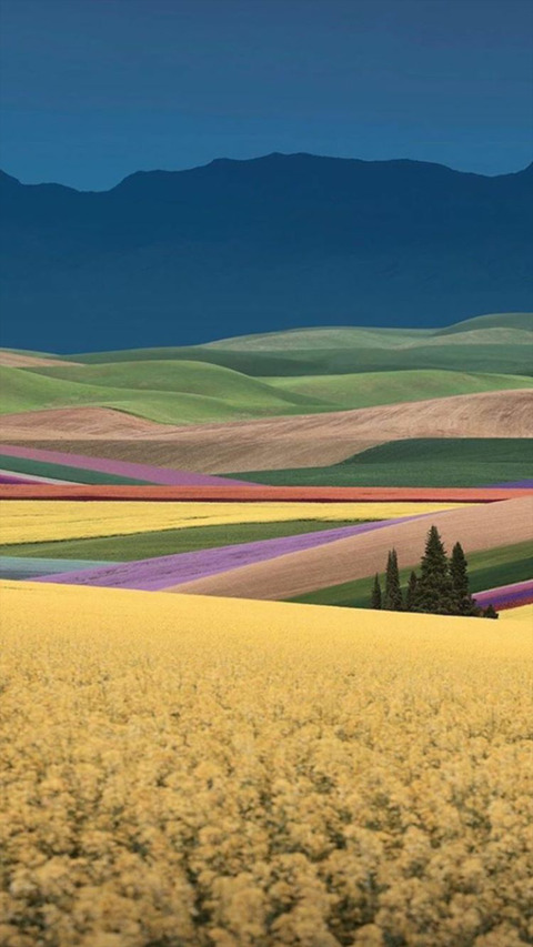 Leaked iinuu header onlyfans leaked