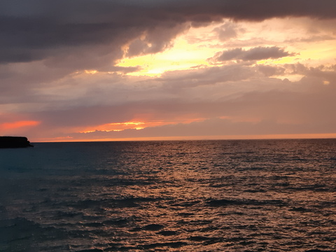 Leaked ijeletto41 header onlyfans leaked