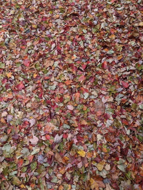 Leaked illuxx header onlyfans leaked