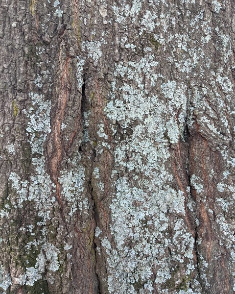 Leaked ilovetayterz header onlyfans leaked