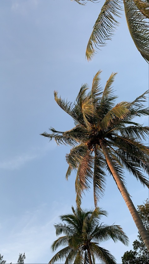 Leaked islandshae23 header onlyfans leaked