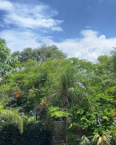 Leaked its_sook1 header onlyfans leaked