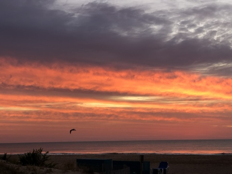 Leaked itskstar header onlyfans leaked