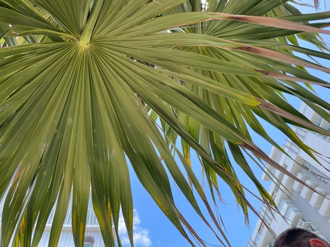 Leaked itsmejunglejuice header onlyfans leaked