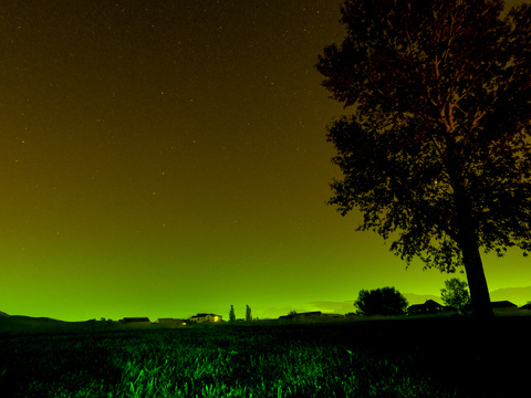 Leaked itstoastybruh header onlyfans leaked