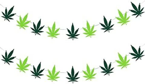 Leaked itsvioletxo header onlyfans leaked