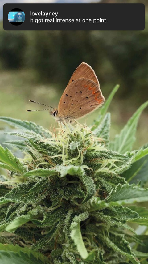 Leaked jaydensky20 header onlyfans leaked