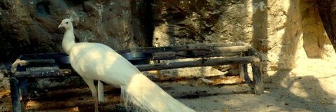 Leaked jellydonut52 header onlyfans leaked