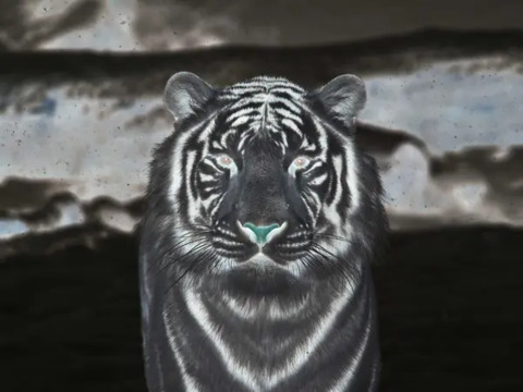 Leaked jennalmoody header onlyfans leaked