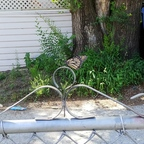 Leaked jester2002 onlyfans leaked