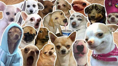 Leaked jesuck header onlyfans leaked