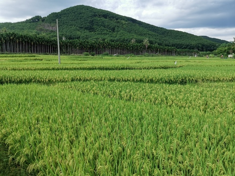 Leaked jkk1314 header onlyfans leaked