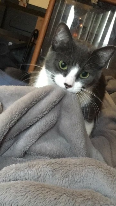 Leaked jojothe6ixplayer header onlyfans leaked