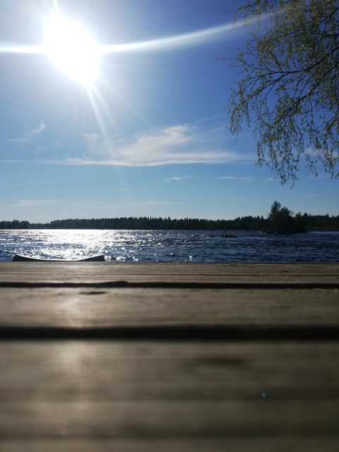 Leaked joysenevial header onlyfans leaked