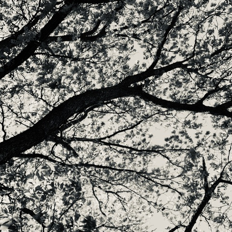 Leaked jpot024 header onlyfans leaked