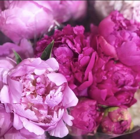 Leaked juicyxluluu header onlyfans leaked