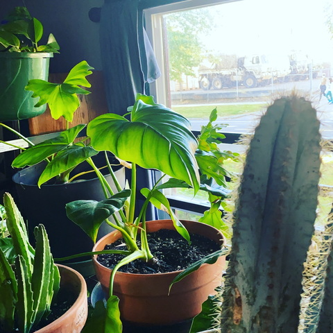 Leaked jumpmanloony header onlyfans leaked