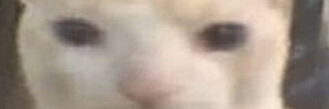 Leaked justhornyrn header onlyfans leaked