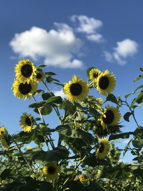 Leaked justpeachy981 header onlyfans leaked