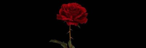 Leaked jxkoszn header onlyfans leaked