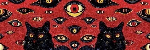 Leaked kailuagggg header onlyfans leaked