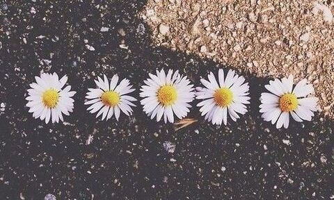 Leaked karencorralesjimenez header onlyfans leaked