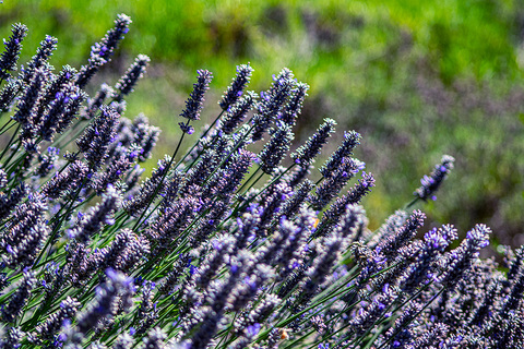 Leaked kathleena header onlyfans leaked