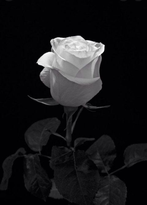 Leaked katiesclub header onlyfans leaked