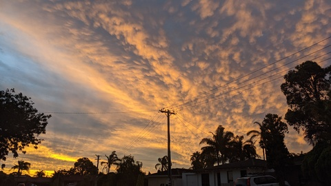 Leaked katt- header onlyfans leaked