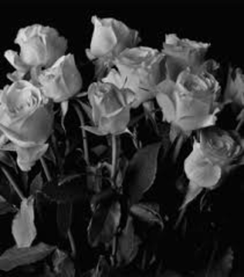 Leaked kaydoll8 header onlyfans leaked