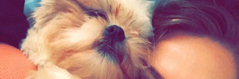 Leaked kaylapooiskoo header onlyfans leaked