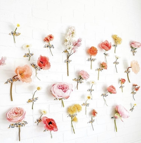 Leaked kelsel header onlyfans leaked