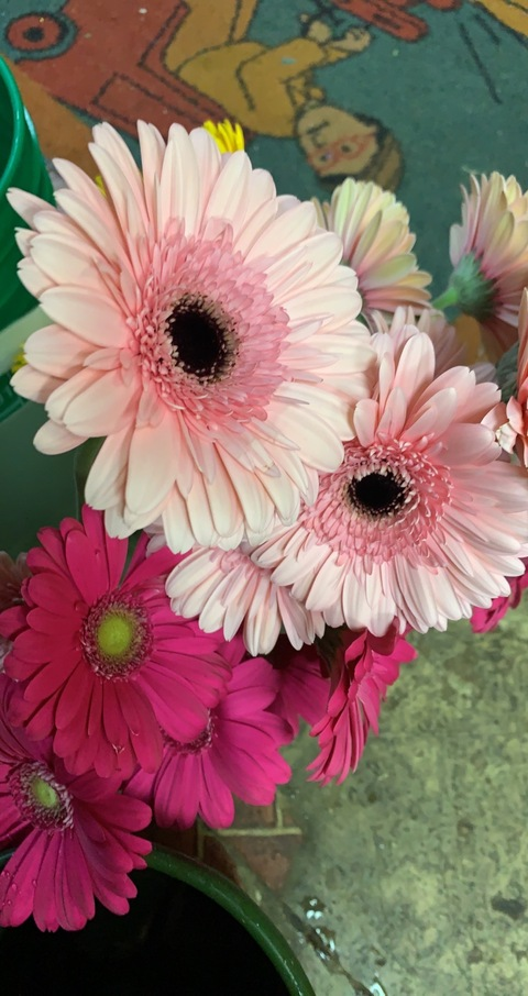 Leaked kennakenna33 header onlyfans leaked