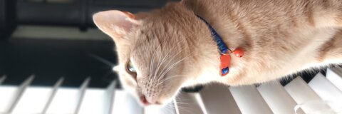 Leaked kikssaroo header onlyfans leaked