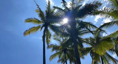 Leaked kilalala header onlyfans leaked