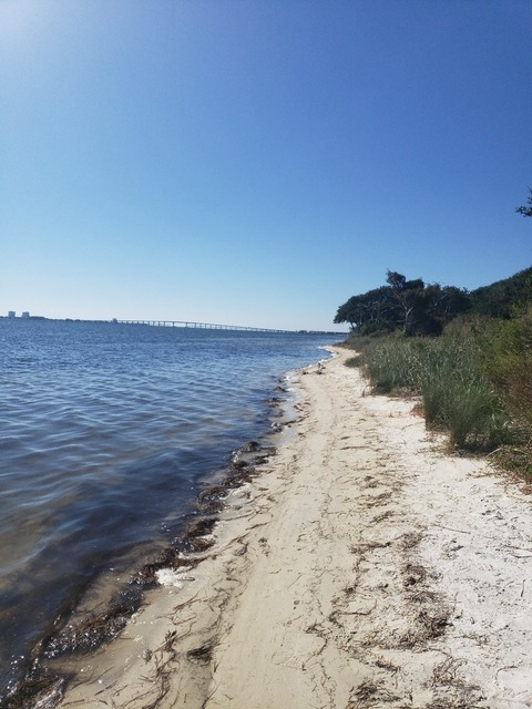 Leaked kimboslice_1 header onlyfans leaked