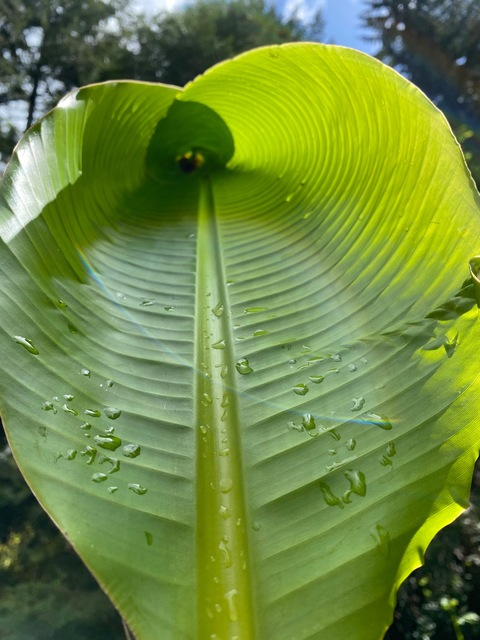 Leaked kimorakindly header onlyfans leaked