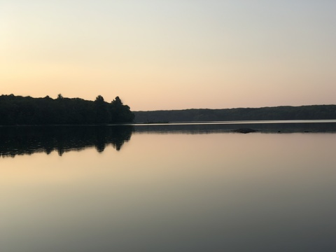 Leaked kingbar header onlyfans leaked