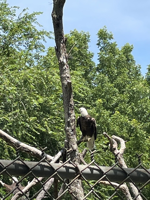 Leaked kingofthe909 header onlyfans leaked