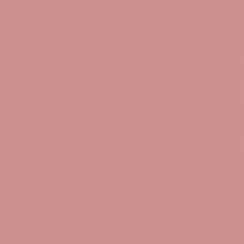 Leaked kinkyeevee header onlyfans leaked