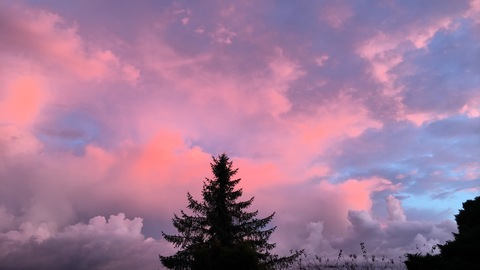 Leaked kitanarose header onlyfans leaked