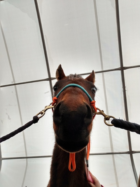 Leaked kitkat667 header onlyfans leaked