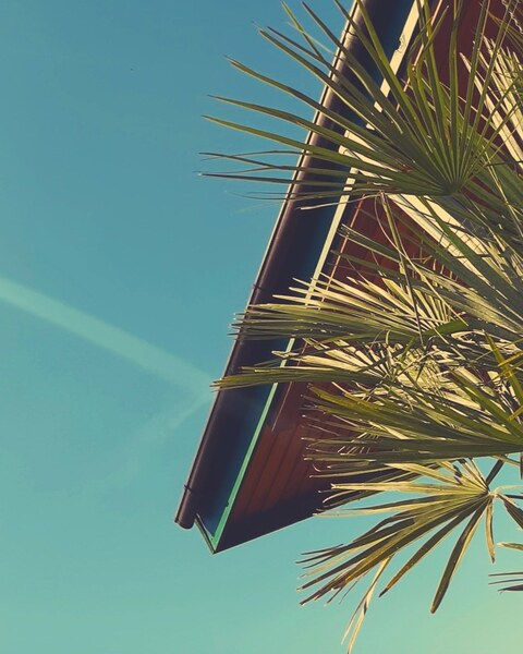 Leaked kittycat300.com header onlyfans leaked