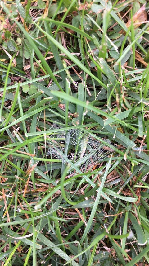 Leaked kittykatty669 header onlyfans leaked