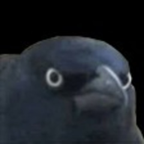 Leaked klaraeve header onlyfans leaked