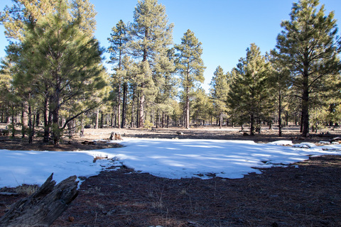 Leaked kmetal header onlyfans leaked